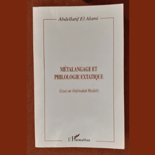 Métalangage et Philosophie Extatique
