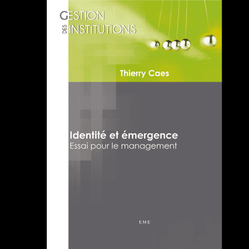 Identité et Emergence Essai Pour le Management