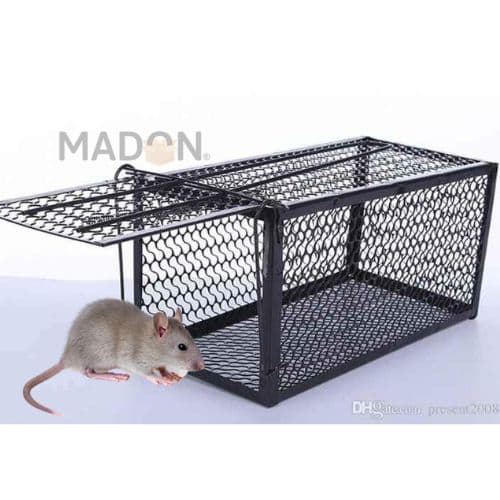Attrape Souris Cage métallique éfficace et résistante