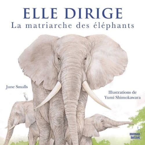 Elle dirige. La matriache des éléphants